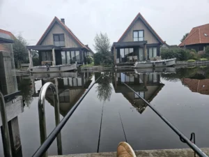 vissen in de watersteate